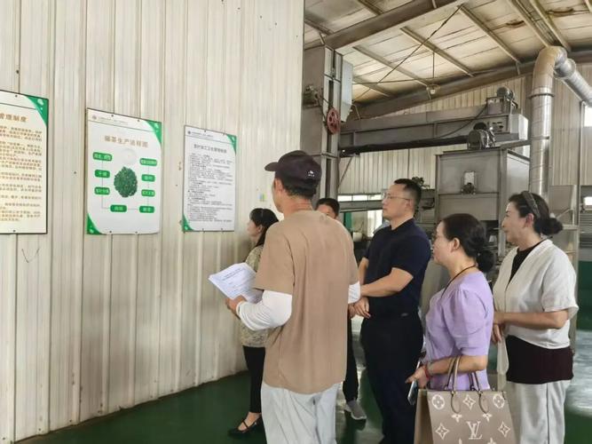 将传统价值较低的夏秋茶转化为高附加值抹茶原料,实现产品单价跃升